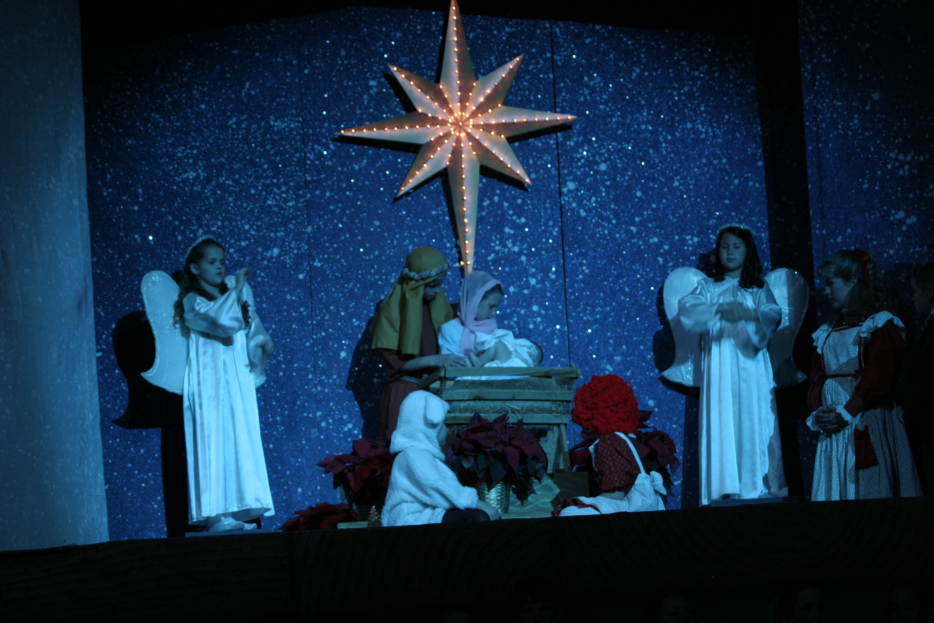 IMG_8173.JPG