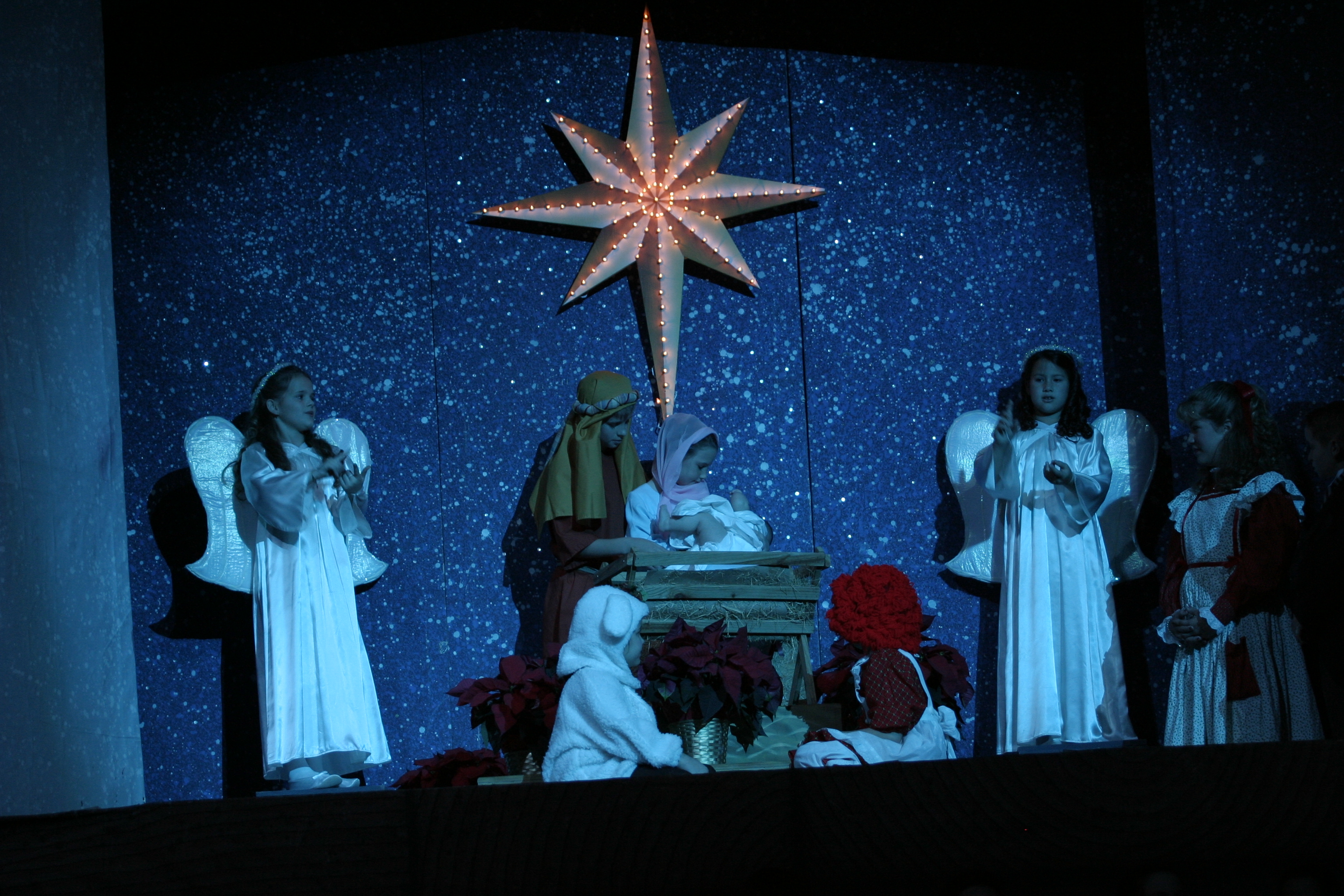 IMG_8174.JPG